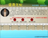 堤坝灭蚁